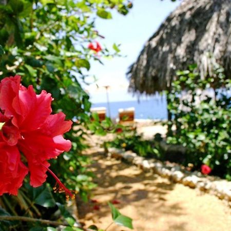 Tensing Pen Negril Exterior foto